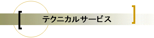 eNjJT[rX